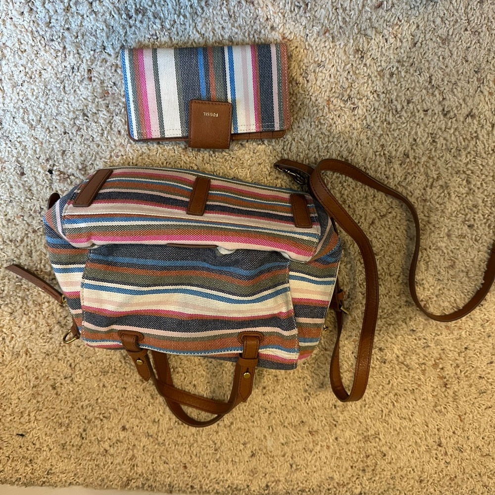 Fossil Multicolor Striped Crossbody Bag and Wallet